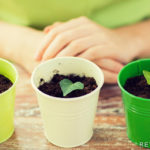 Retseptisahtel Koduekstra