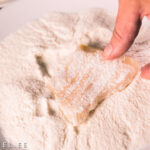 Retseptisahtel-kookoskoorikus-kala